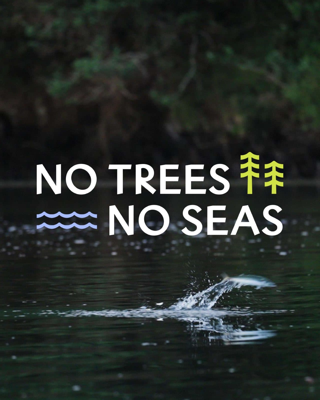 No Trees, No Seas