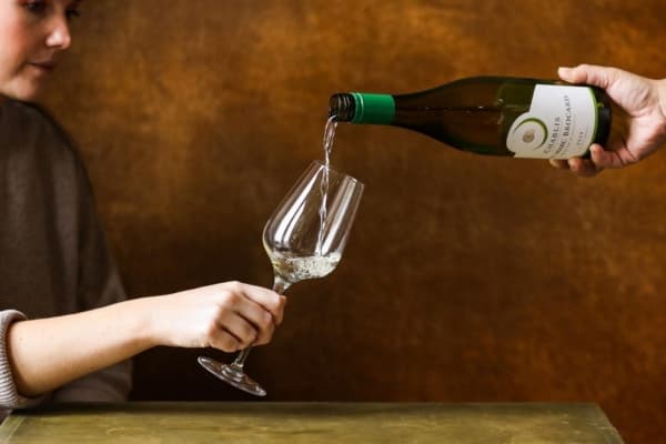 Wine and Cheese Tasting Night