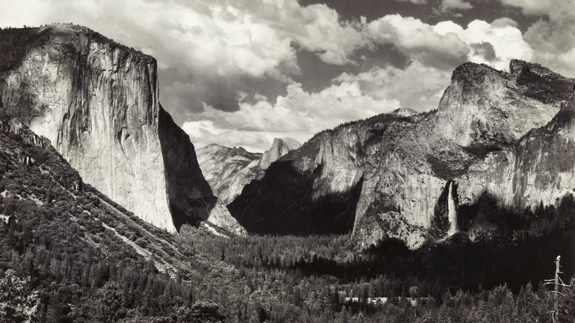 The World in Black and White: Fine Art Photography