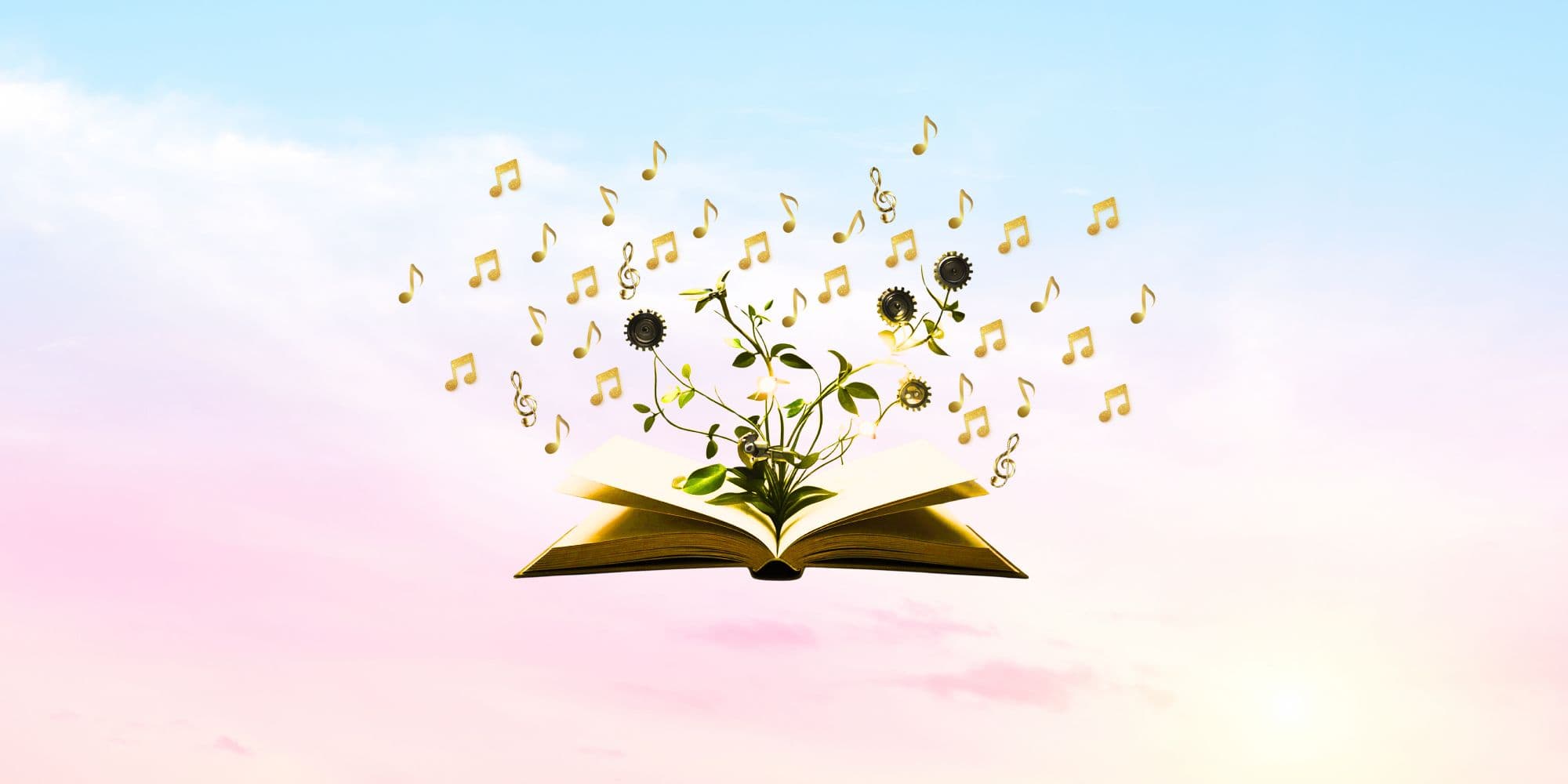 Once Upon A Musical