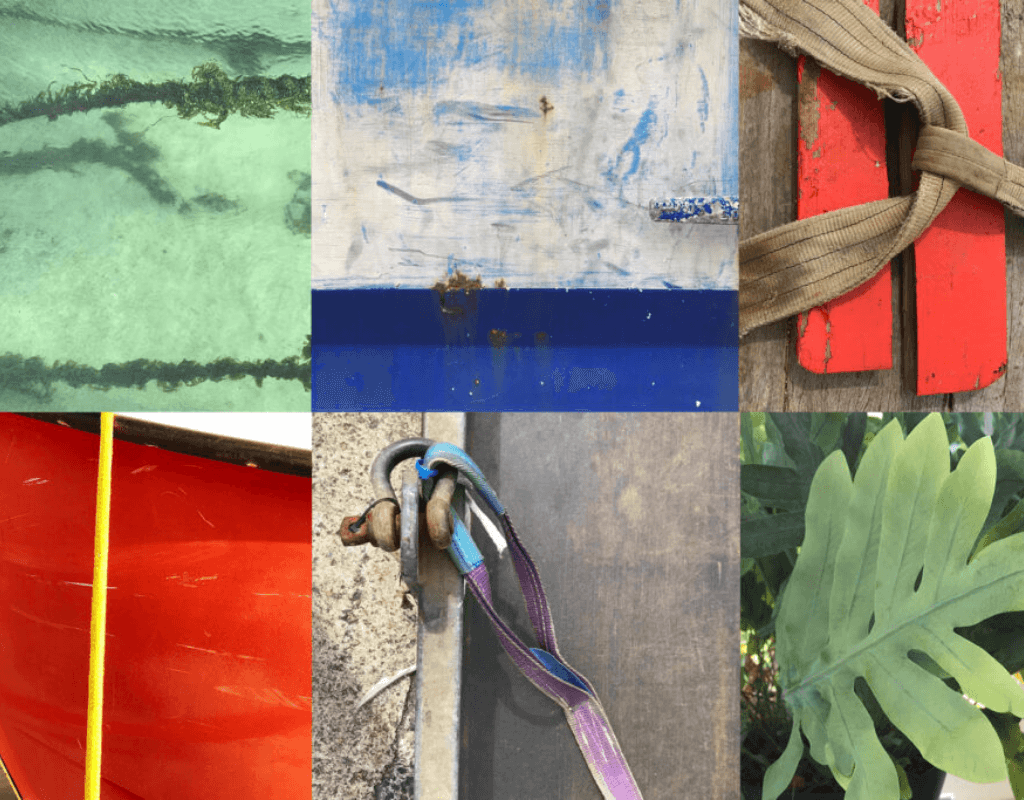 Looking For Colour