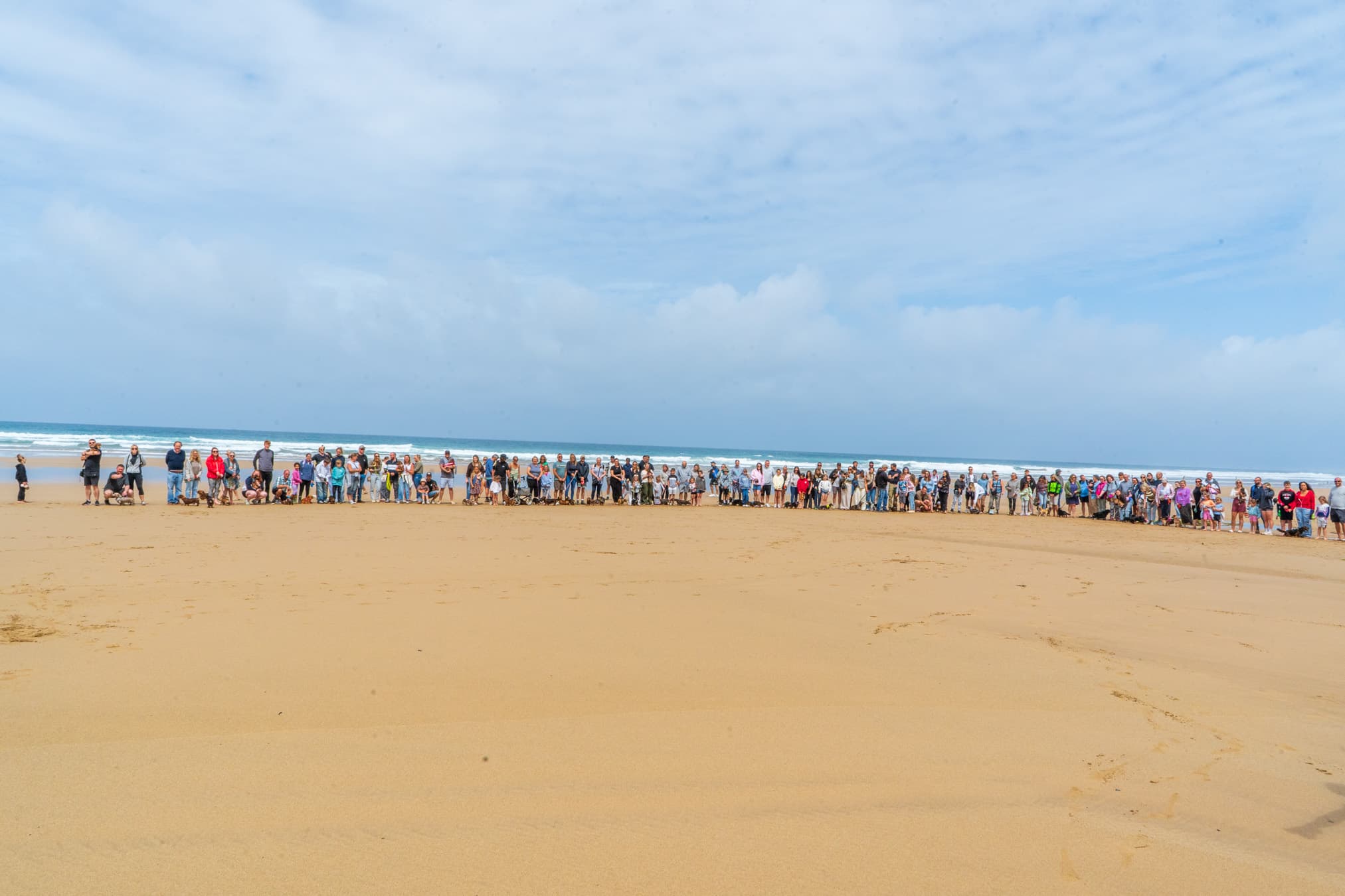WAX Walkies – Wiener Walk II