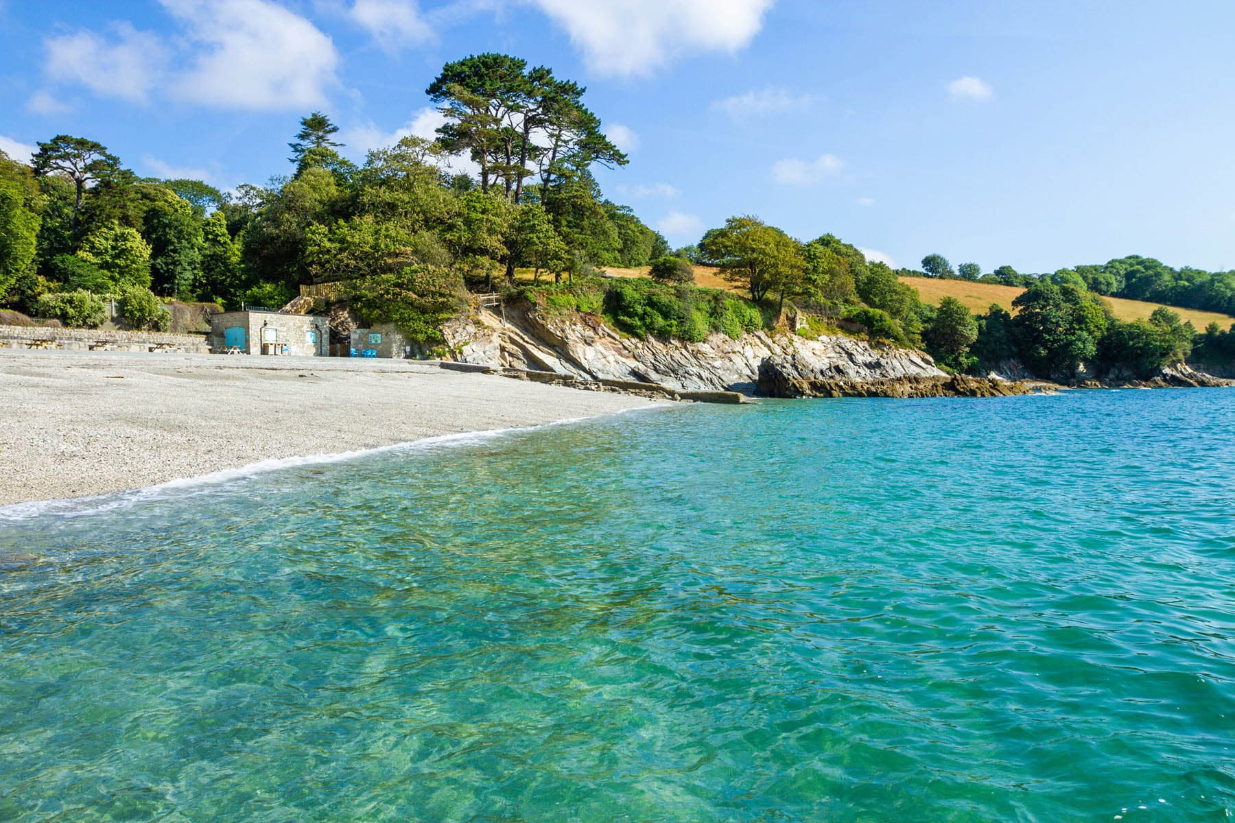 Beach BBQ with Live Music
