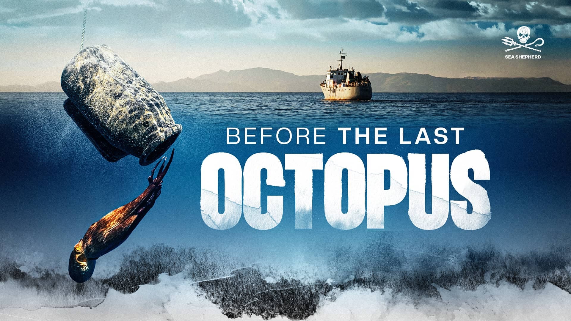 Before The Last Octopus