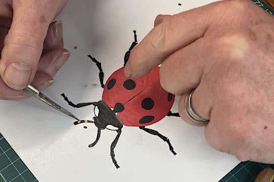 Creepy Crawly Collage Workshop