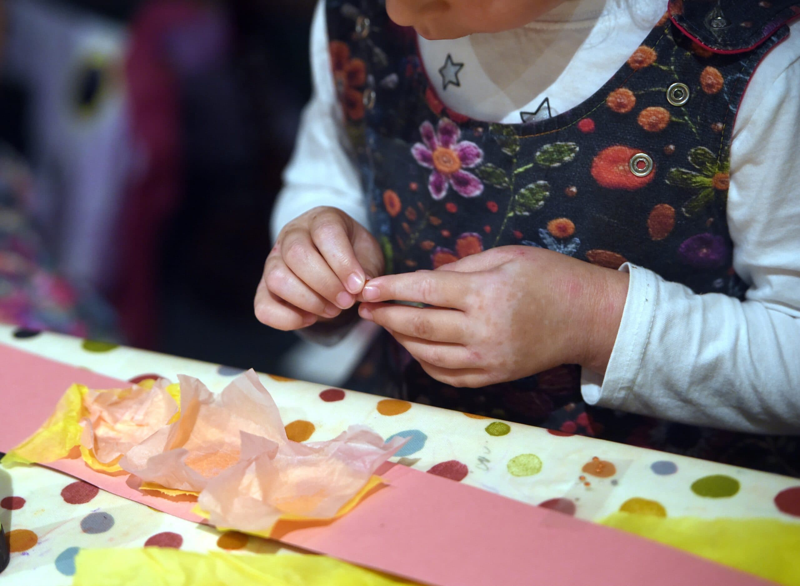 Half Term at the Museum